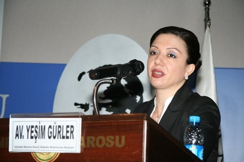 Enerji Yatırımlarında Kamu Yararı Gözetilmeli - 1