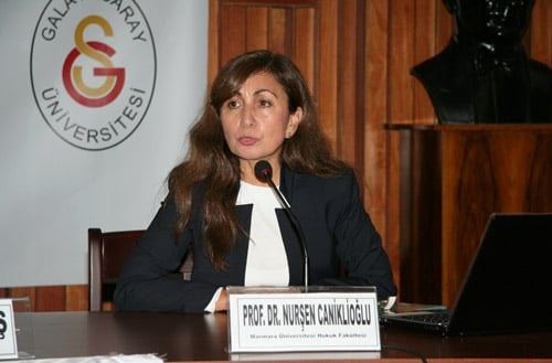 İş Hukukuna İlişkin Sorunlar Ve Çözüm Önerileri - 22