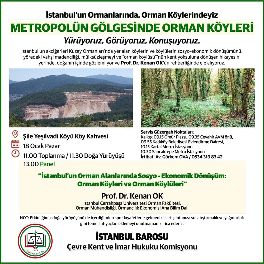 Metropolün Gölgesinde Orman Köyleri