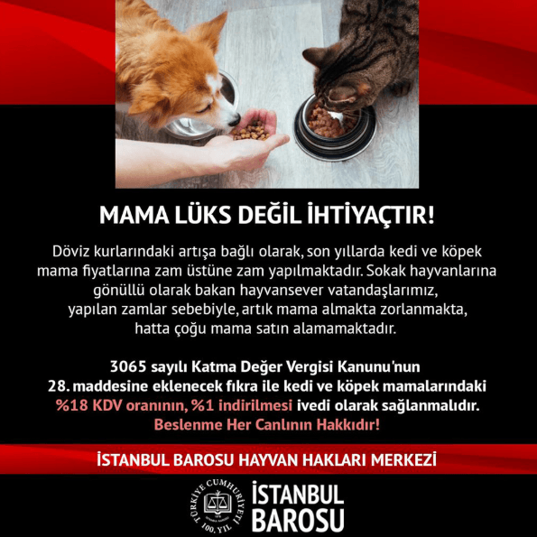 Mama, Lüks Değil; İhtiyaçtır!