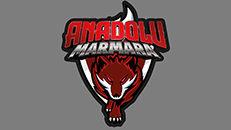 Anadolu Marmara Spor Okulları