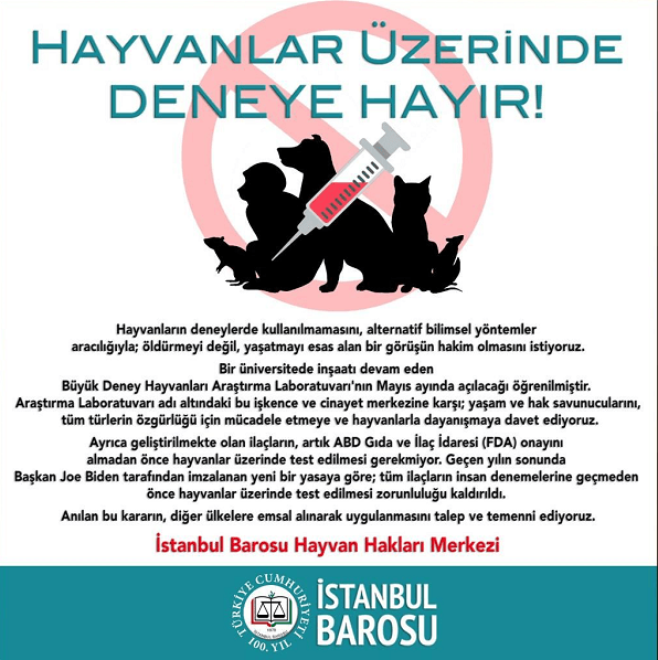 Hayvanlar Üzerinde Deneye Hayır!