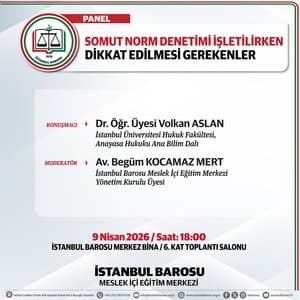 Somut Norm Denetimi İşletilirken Dikkat Edilmesi Gerekenler